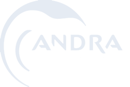Andra