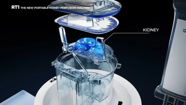 Film d'animation 3D — IGL