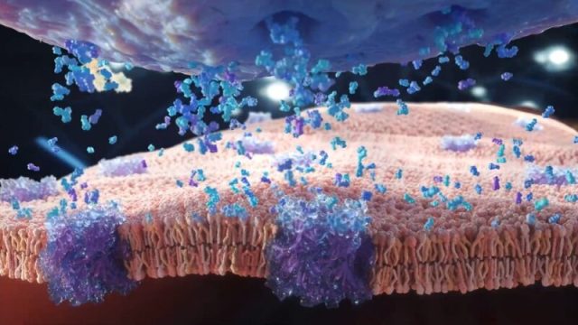 Film d'animation 3D — Alexion