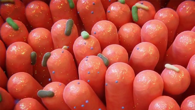 Film d'animation 3D — Berkem