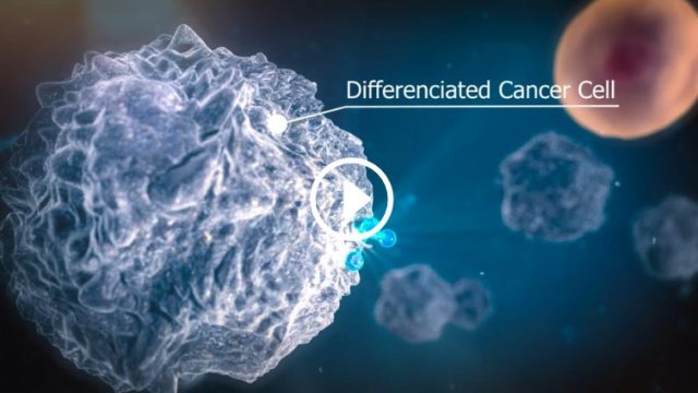 Film d'animation 3D — Genoscience