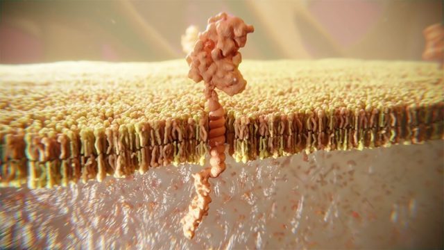 Film d'animation 3D — Janssen