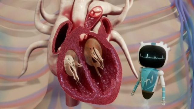 Film d'animation 3D — L'institut de Rythmologie au CHU