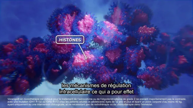 Film d'animation 3D — MeditUp Voranigo