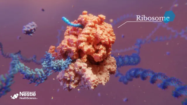 Film d'animation 3D — Nestlé Aging loss
