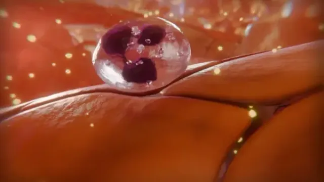 Film d'animation 3D — TECHNA