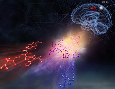 Journal of Medical Chemistry