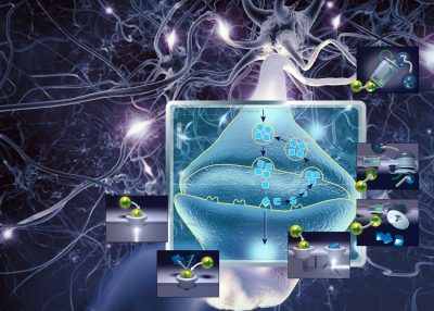 Science & vie Hors Série 255 Comment les psychotropes trompent notre cerveau