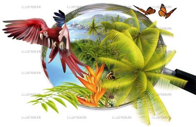 Couverture - Science&Vie Junior