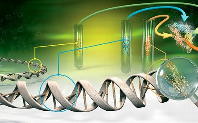 Banque d'images scientifiques gratuites