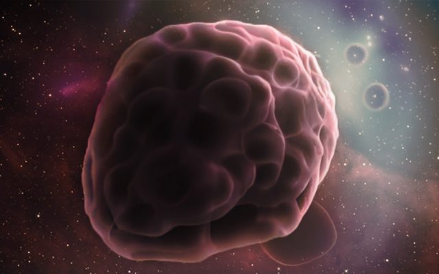 Le corps humain : un cosmos cellulaire à découvrir