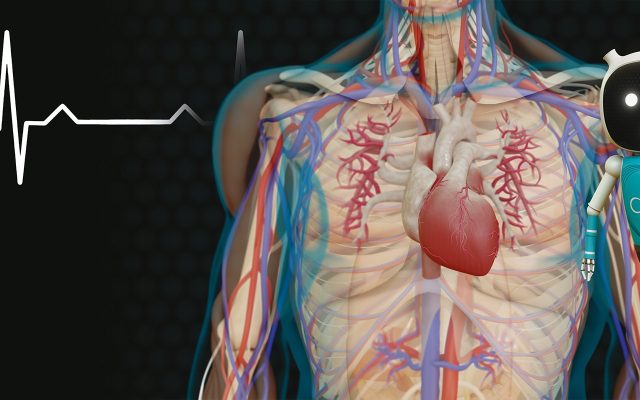 MUSIC LYRIC La chirurgie cardiaque Au cœur de la 3D