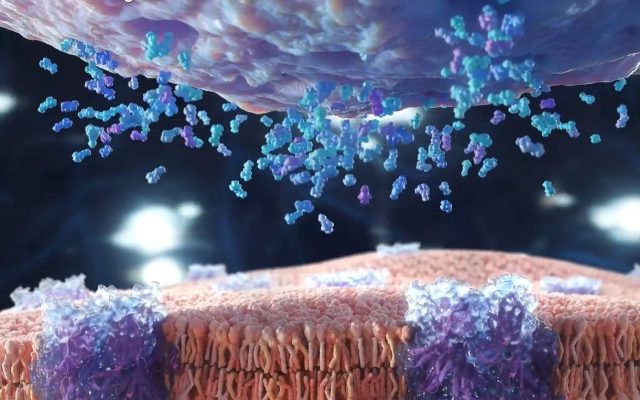 Vidéos médicales et scientifiques : Secrets de Production